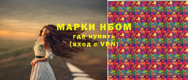 мдпв Бронницы