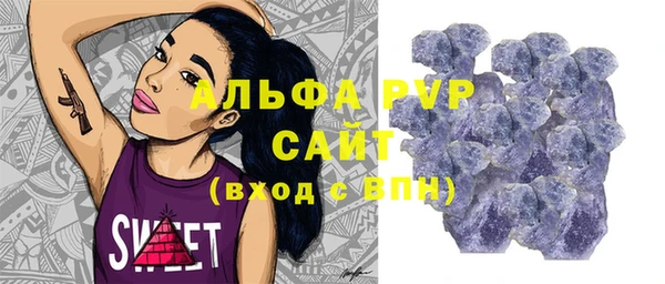 трава Бородино