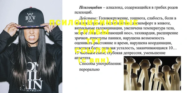 мдпв Бронницы
