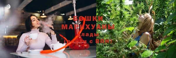мдпв Бронницы