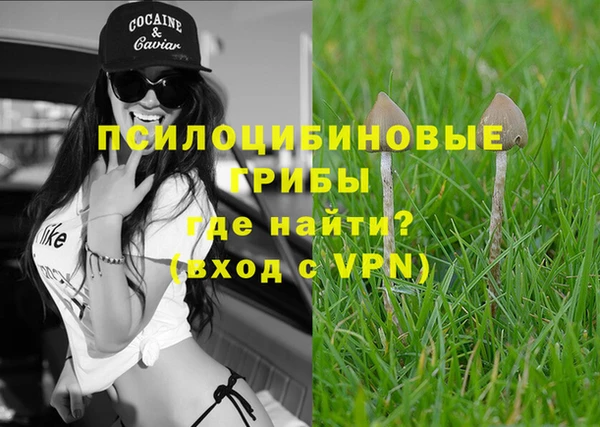 трава Бородино