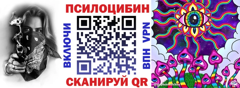 продажа наркотиков  Ростов-на-Дону  Псилоцибиновые грибы ЛСД 